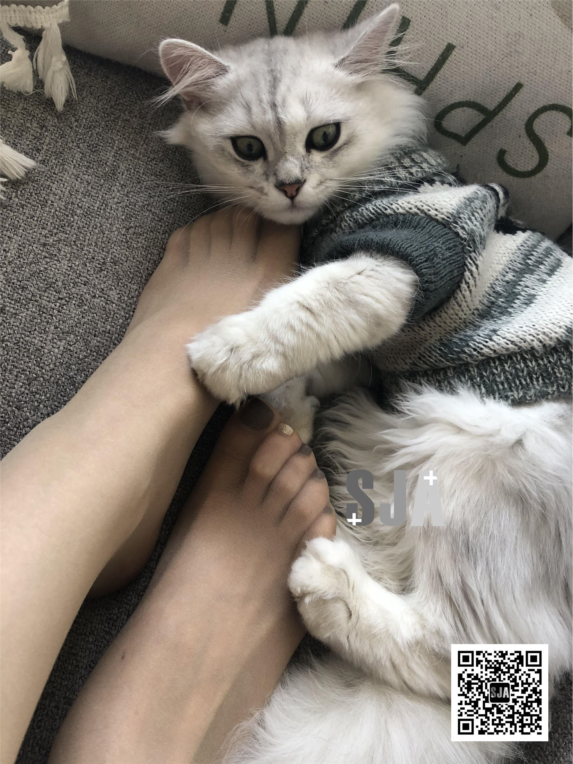 SJA佳爷 闺蜜视角 NO.013 喵